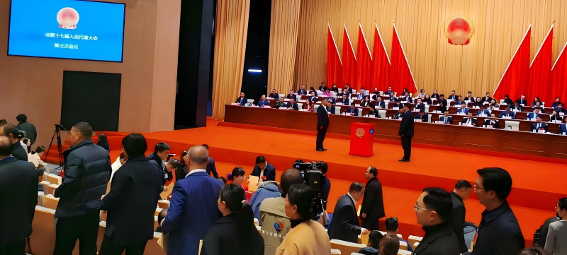 政府选举解决方案